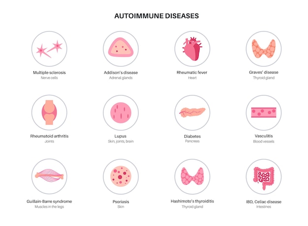 Maladies Auto-immunes