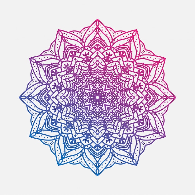 Vecteur mandala de luxe