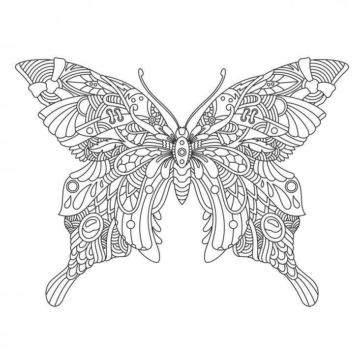 Mandala papillon ornemental pour coloriage adulte