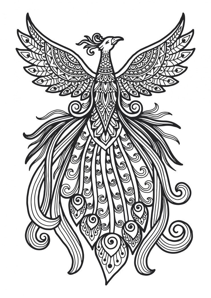 Mandala pour colorier la conception de paon.