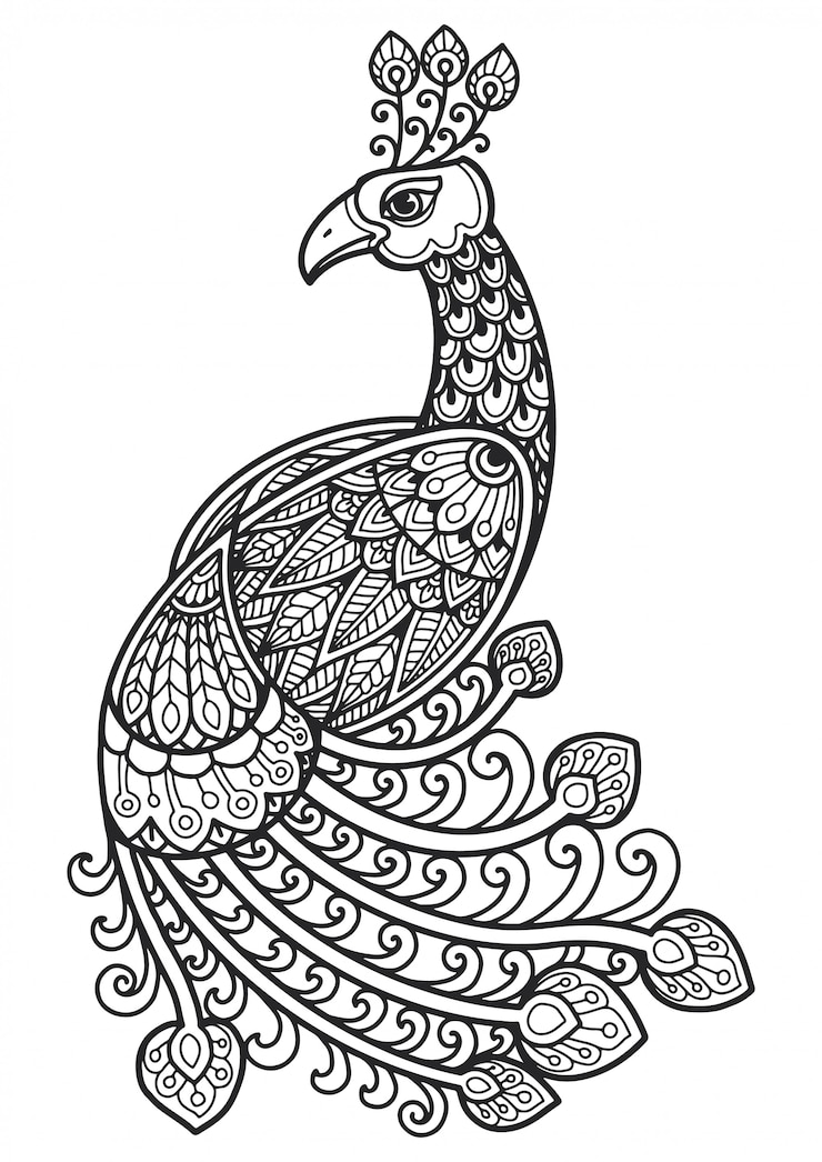 Mandala pour colorier la conception de paon.