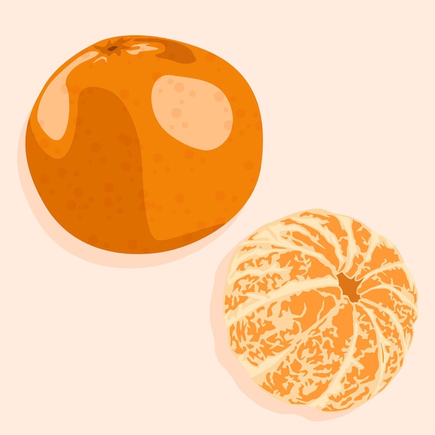 Mandarin écorché Et écorché