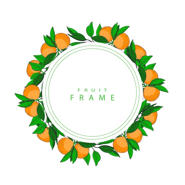 Mandarine dessinée à la main
