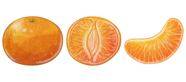 mandarine_orange