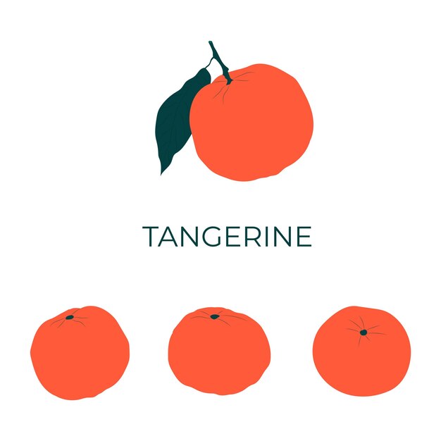 Mandarines Oranges. Illustration Vectorielle Plane. étiquette Minimaliste Et Moderne.