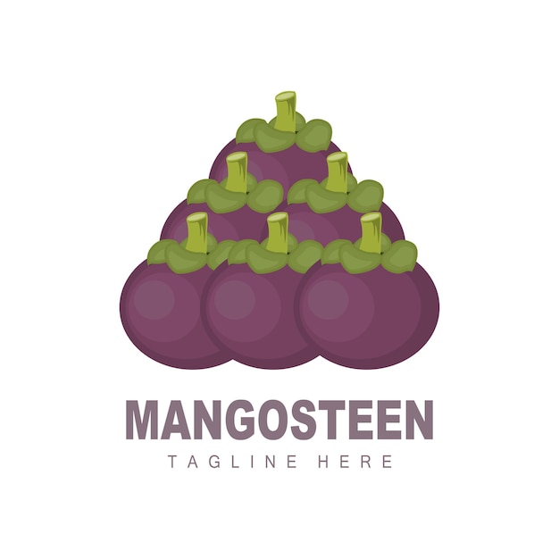 Mangoustan Logo Design Vecteur De Fruits Frais Pour La Santé De La Peau Boutique De Fruits Illustration De Marque Et Médecine Naturelle De La Peau