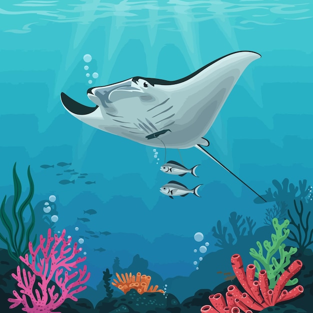 La manta nage dans l'océan avec de petits poissons et des coraux