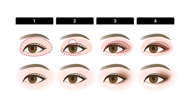 Vecteur manuel de maquillage à l'ombre des yeux_comment appliquer l'ombre aux yeux