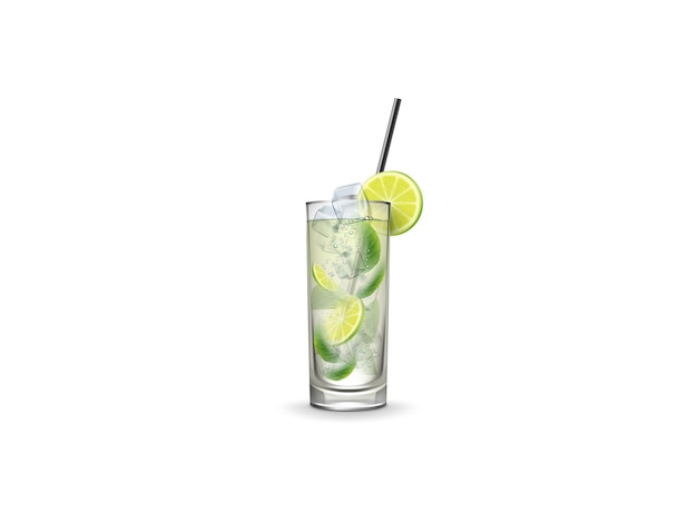 Margarita cocktail rafraîchissant verre vecteur avec bord de sel et tranche de citron vert boisson Margarita classique