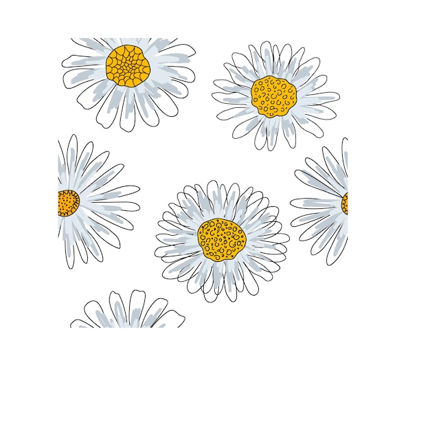 Marguerites Dessin Au Trait Solide Texture Transparente Marguerite Minimale Abstraite Doodle En Noir Et Blanc