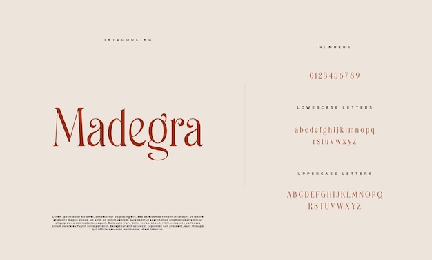 Vecteur mariage élégant alphabet lettre police typographie luxe classique serif polices décoratives vintage rétro