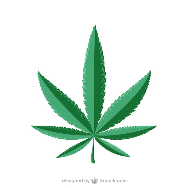 Vecteur marijuana leaf