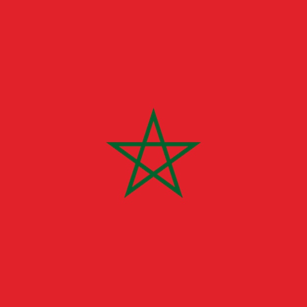 Vecteur maroc drapeau couleurs officielles illustration vectorielle