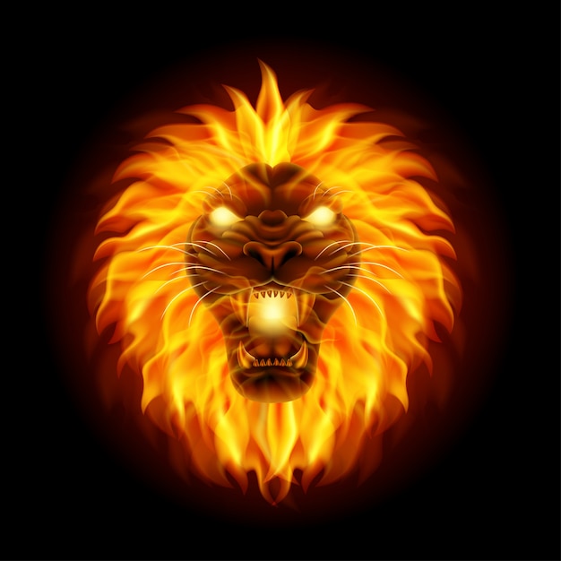 Mascotte De Tête De Lion De Feu