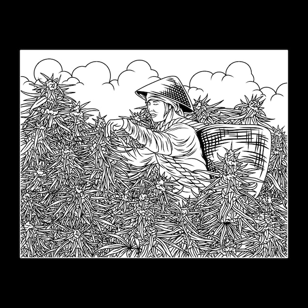 Mauvaises Herbes, Paysan, Noir Blanc, Illustration