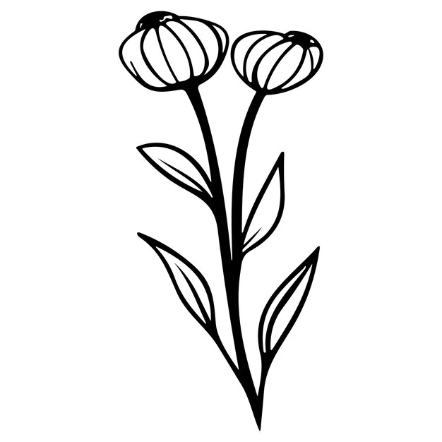 Meadow Herbs Line Art Vector Illustration Set Isolé Sur Blanc Fleur Croquis à L'encre Noire Design Minimaliste Moderne Dessiné à La Main