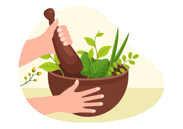 Vecteur médecine alternative ou cure à base de plantes de thérapies énergétiques avec racine de ginseng et graines en illustration
