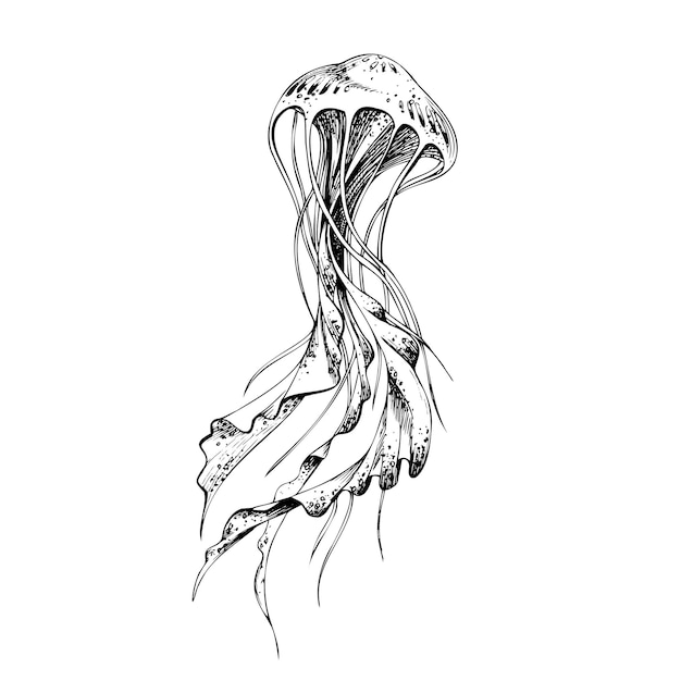 Méduse de mer stylisée Objet isolé dessiné à la main en technique graphique Illustration vectorielle pour la décoration et le design nautiques et de plage d'été