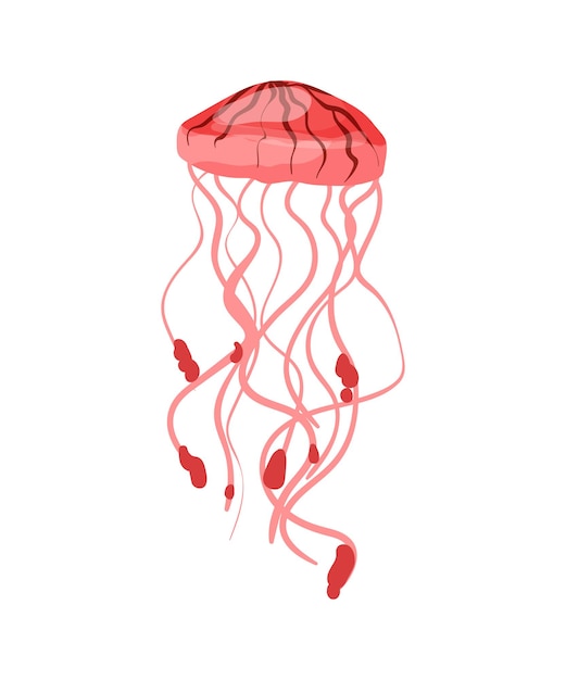 Vecteur méduse