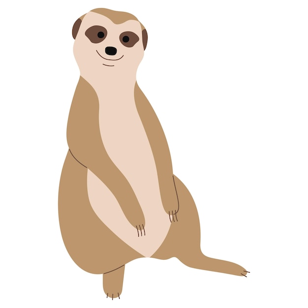 Le Meerkat Est Unique 15