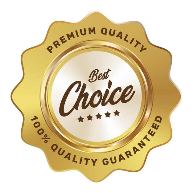 Meilleur choix cinq étoiles badge or logo de luxe métallique argent