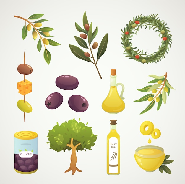 Mettre Les Fruits D'olives. Bouteille D'huile D'olive, Branche, Arbre Et Illustration De Couronne De Romarin En Style Cartoon.