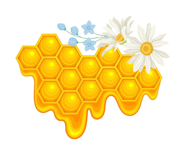 Vecteur le miel avec des cellules de cire hexagonales et des fleurs