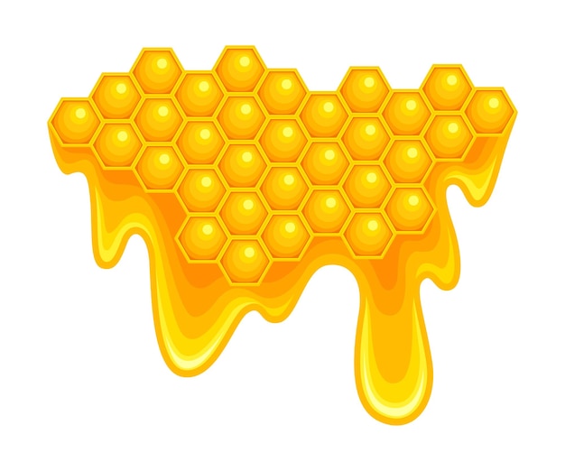 Le miel avec des cellules de cire hexagonales et le liquide collant qui s'écoule vers le bas.