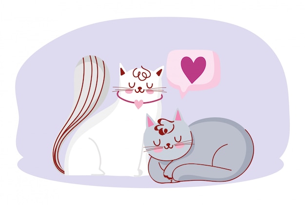 Vecteur mignon chats blancs et gris animaux domestiques dessin animé domestique amour