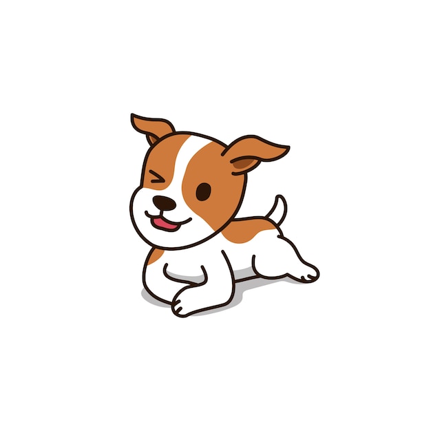 Mignon chien jack russell terrier