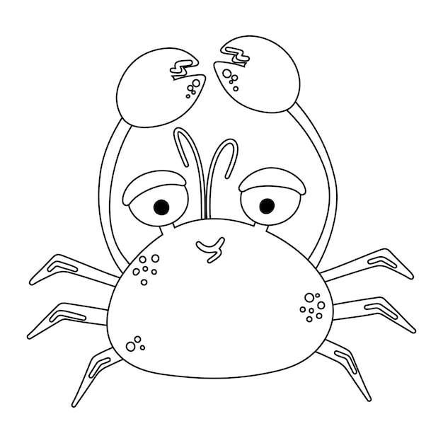 Mignon Crabe De Mer Coloriages Pour Enfants Contour Vectoriel Sur Fond Blanc