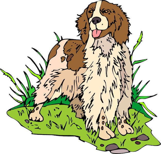 Vecteur mignon english springer spaniel dog dessin animé dessiné à la main animaux de compagnie illustration vectorielle comique