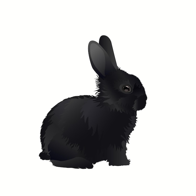 Mignon Petit Lapin Noir. Illustration Vectorielle D'un Lapin Noir Isolé Sur Fond Blanc