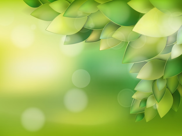 Milieux naturels d'été pour votre conception.
