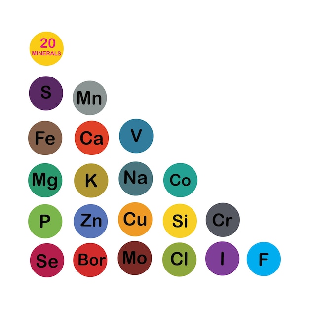 Vecteur minéraux microéléments et macroéléments utiles pour la santé humaine principes fondamentaux d'une alimentation saine et de modes de vie sains