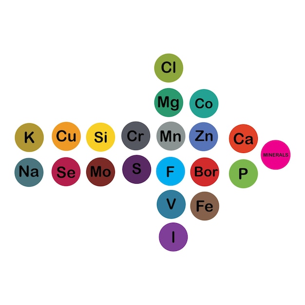 Vecteur minéraux microéléments et macroéléments utiles pour la santé humaine principes fondamentaux d'une alimentation saine et de modes de vie sains