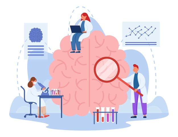 Vecteur de minuscules médecins examinant le cerveau humain avec une loupe. scientifique masculin et féminin en vêtements médicaux menant des expériences en laboratoire, collectant des données illustration vectorielle plane. recherche, concept scientifique