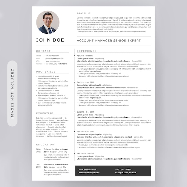 Mise en page de CV avec des accents noirs