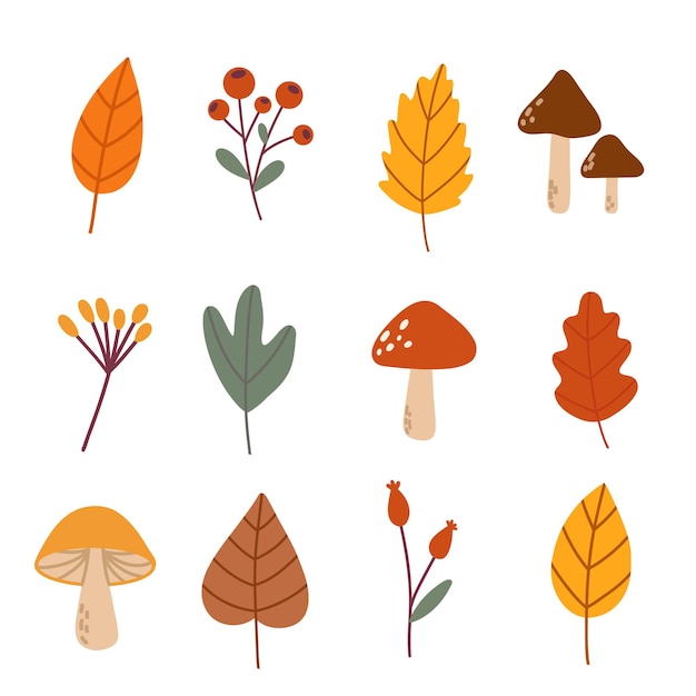 Modèle d'affiche d'automne Ensemble de bannières d'hiver minimales à la mode Les feuilles d'automme, les champignons, les citrouilles