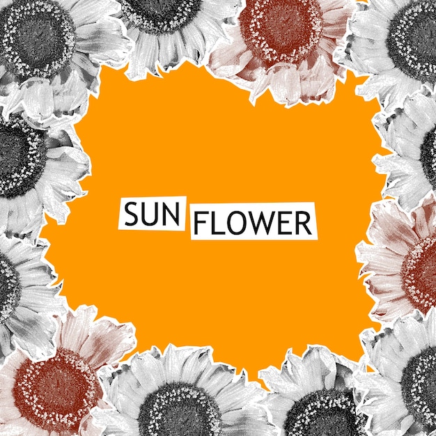 Modèle d'affiche de collage de demi-teintes de tournesols avec des fleurs en pointillés