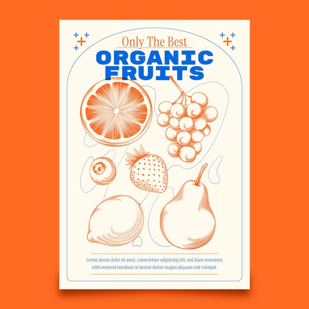 Modèle d'affiche de fruits dessinée à la main