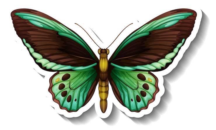 Vecteur un modèle d'autocollant avec papillon ou papillon isolé