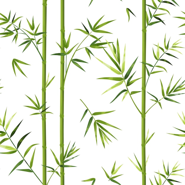 Vecteur modèle de bambou texture transparente japonaise avec des troncs d'arbres verticaux et des feuilles modèle de papier peint chinois ou textile oriental décoratif maquette de fond de plantes vertes asiatiques vectorielles