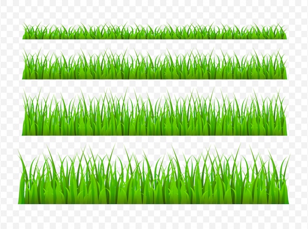 Modèle De Bordure De Prairie D'herbe Verte. Illustration De Fond D'herbe