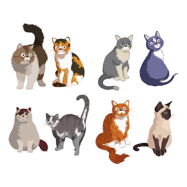 Modèle de chat Cartoon Animal Collection Cartoon Vector