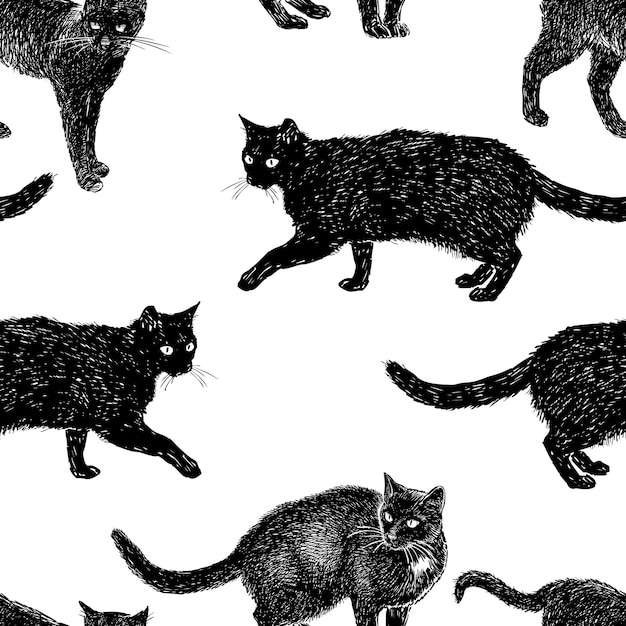 Modèle De Chats Noirs Dessinés