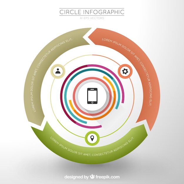 Vecteur modèle circulaire infographie