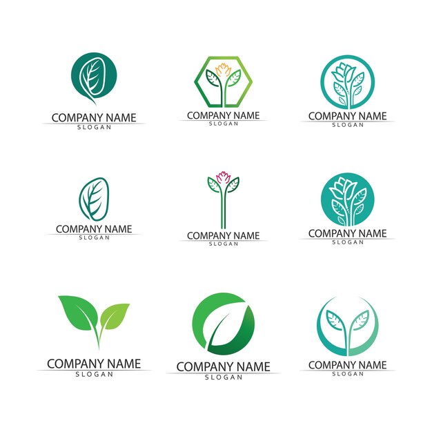 Modèle De Concept De Logo De Graines De Plantes