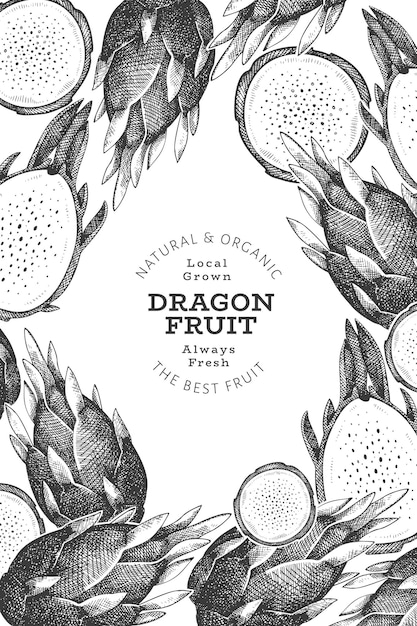 Modèle De Conception De Fruit Du Dragon Dessiné à La Main. Illustration D'aliments Frais Biologiques. Fruit De Pitaya Rétro.