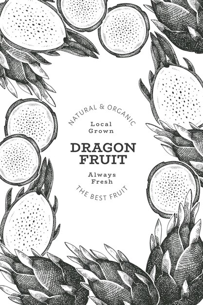 Modèle De Conception De Fruits Du Dragon Dessinés à La Main